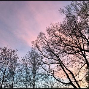 Meet your Posher, Brianne